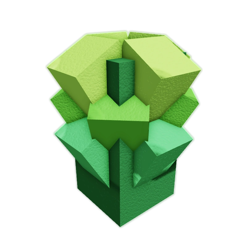 x1 Romanesco