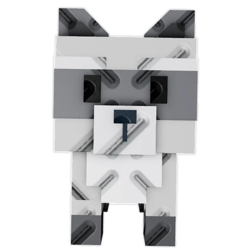x1 Racoon
